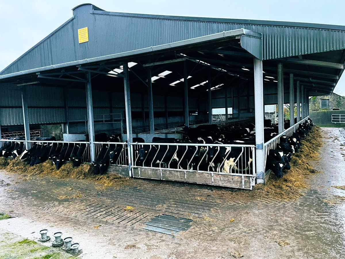 Hylo67's tweet image. Early start to get Miss 14 to her match #allgo