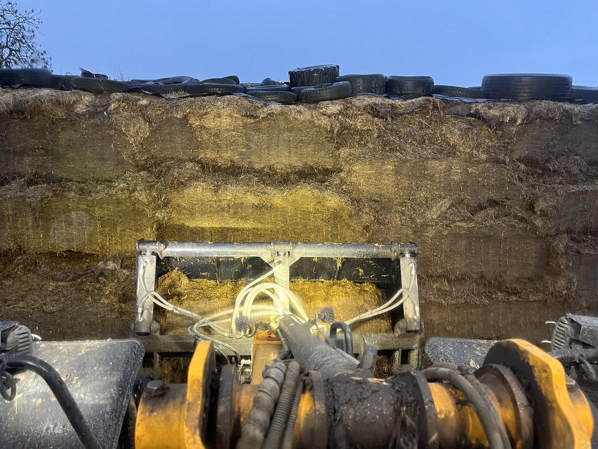 Hylo67's tweet image. Early start to get Miss 14 to her match #allgo