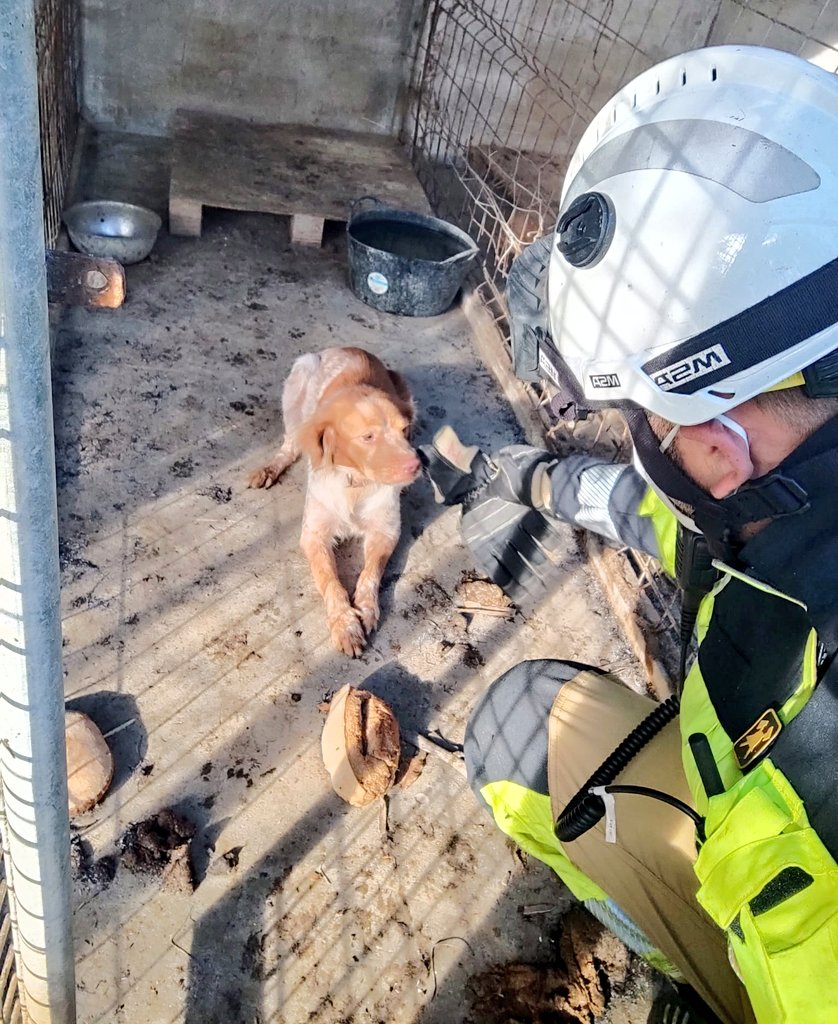 BenalmadenaAyto's tweet image. Bomberos de #Benalmádena salvan de las llamas a centenares de animales que habían quedado atrapados en la zona de Arroyo Seco #IFMijas.
Nuestras dotaciones siguen ayudando  bajo la coordinación y dirección de los grandes profesionales del @Plan_INFOCA.