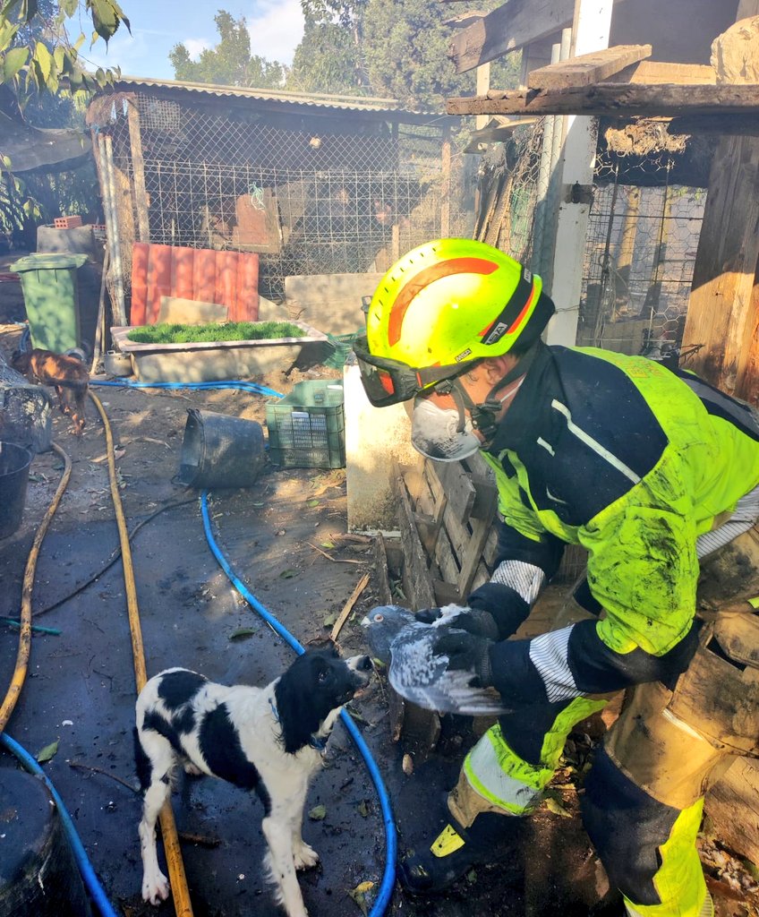 BenalmadenaAyto's tweet image. Bomberos de #Benalmádena salvan de las llamas a centenares de animales que habían quedado atrapados en la zona de Arroyo Seco #IFMijas.
Nuestras dotaciones siguen ayudando  bajo la coordinación y dirección de los grandes profesionales del @Plan_INFOCA.