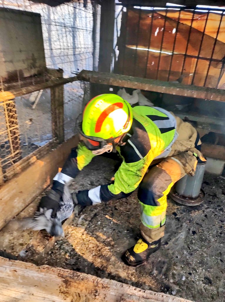 BenalmadenaAyto's tweet image. Bomberos de #Benalmádena salvan de las llamas a centenares de animales que habían quedado atrapados en la zona de Arroyo Seco #IFMijas.
Nuestras dotaciones siguen ayudando  bajo la coordinación y dirección de los grandes profesionales del @Plan_INFOCA.