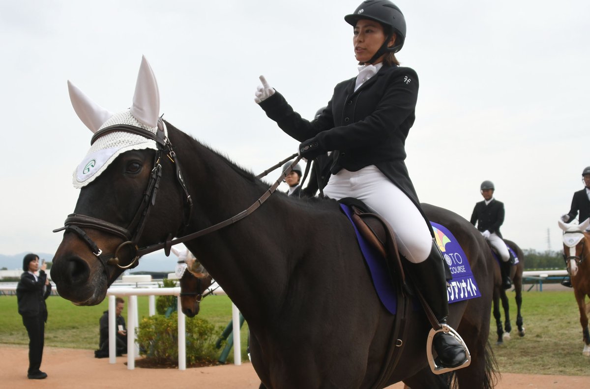 2017年マイルCS覇者で、本日含め現在は京都競馬場で誘導馬を務める