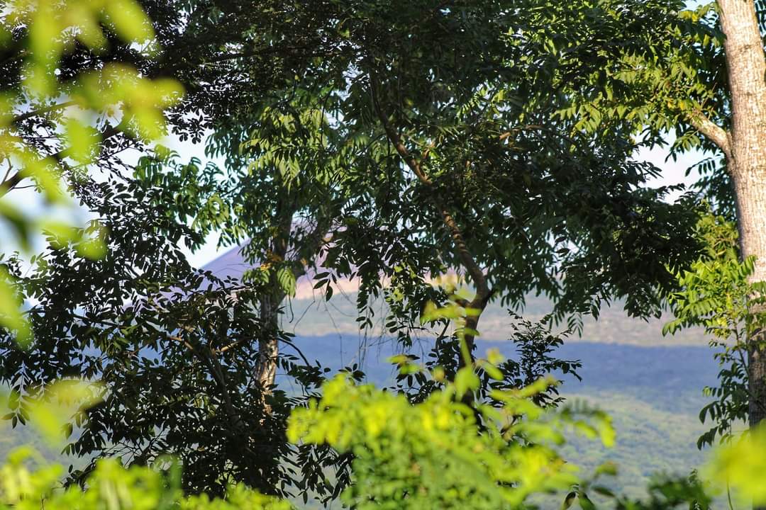 Esas maravillosas 😍 vistas que nos da la naturaleza 🫠 desde la tierra de Venados 🦌 #Masatepe 📸 Comunidad Nimboja ¡ Feliz Domingo 🌞!
#NicaraguaFascinanteIrresistible