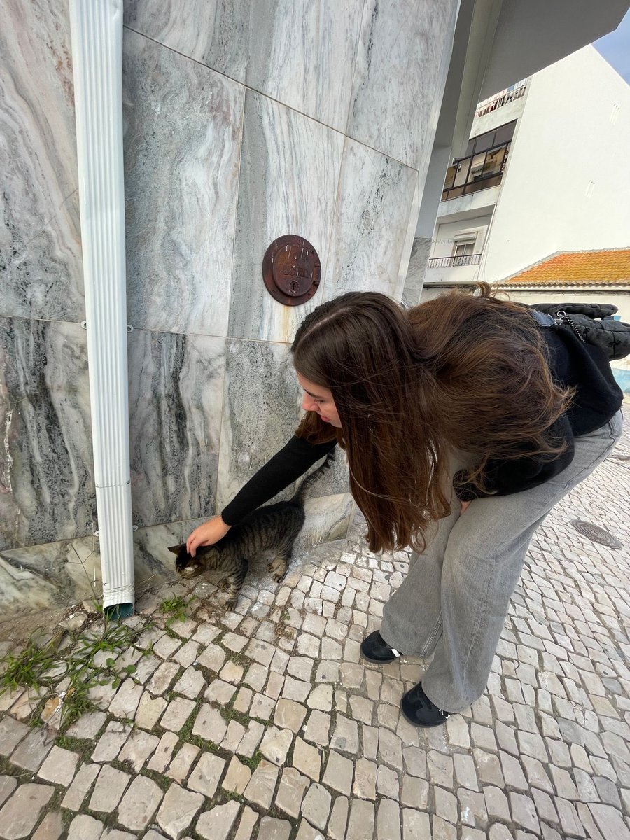 eu cada vez q vejo um gato na rua🥰🥰: