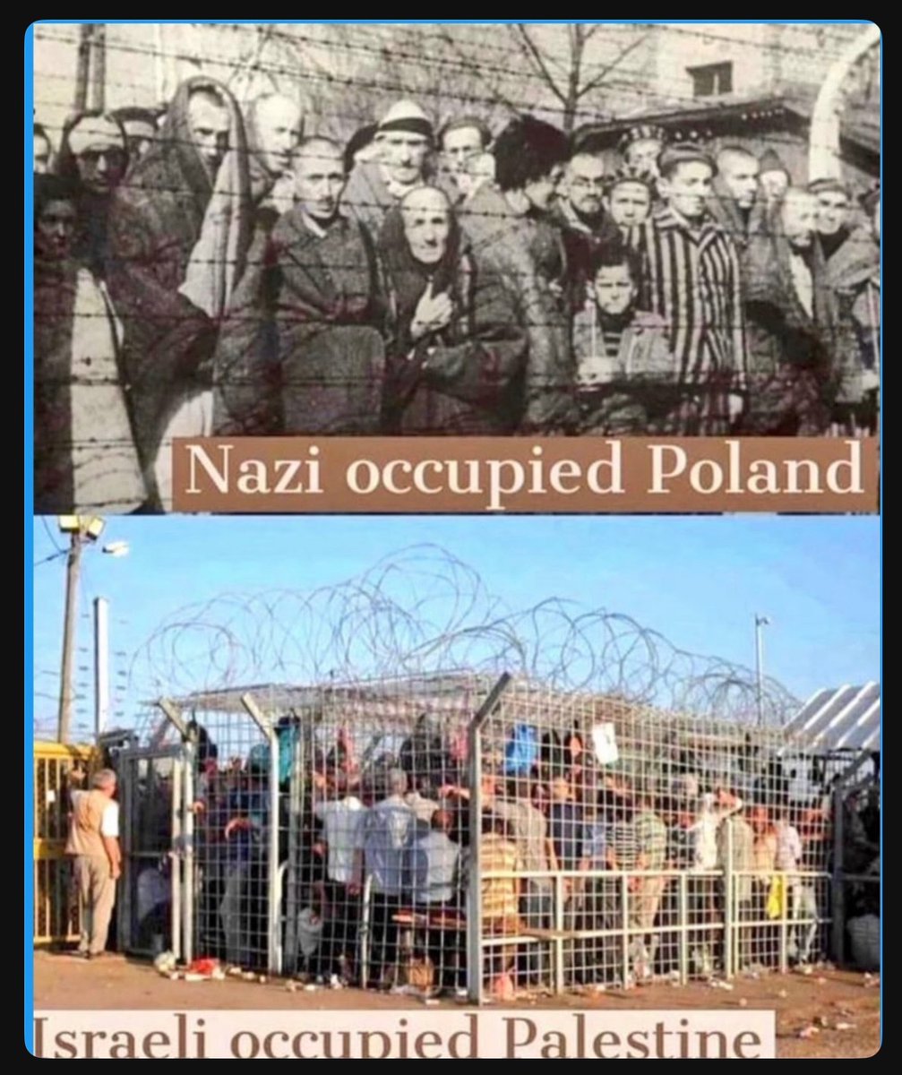 Whitlina's tweet image. #Classless 

Locking people in cages!