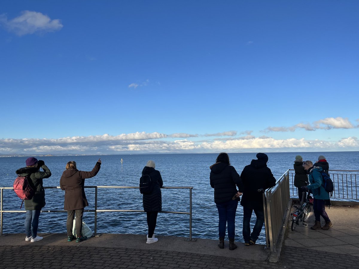 Waiting for the whale #Whale Watching #SeiWhale #Portobello