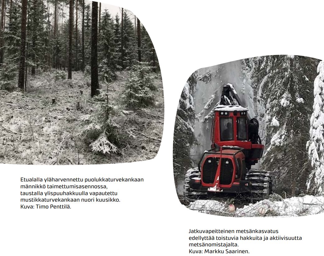 Raisa Mäkipää (@raisamakipaa) on Twitter photo Säilytä suometsät puustoisina metsinä. Päivitimme <a href="/LukeFinland/">Luonnonvarakeskus</a> julkaiseman tietokortin 'Suometsien ilmastoviisas metsänhoito' ja se on nyt luettavissa pysyvästä osoitteesta urn.fi/URN:NBN:fi-fe2… <a href="/stnSOMPA/">SOMPA</a> <a href="/Akatemia_STN/">Strateginen tutkimus</a> Säilytä suometsät puustoisina metsinä. Päivitimme <a href="/LukeFinland/">Luonnonvarakeskus</a> julkaiseman tietokortin 'Suometsien ilmastoviisas metsänhoito' ja se on nyt luettavissa pysyvästä osoitteesta urn.fi/URN:NBN:fi-fe2… <a href="/stnSOMPA/">SOMPA</a> <a href="/Akatemia_STN/">Strateginen tutkimus</a>