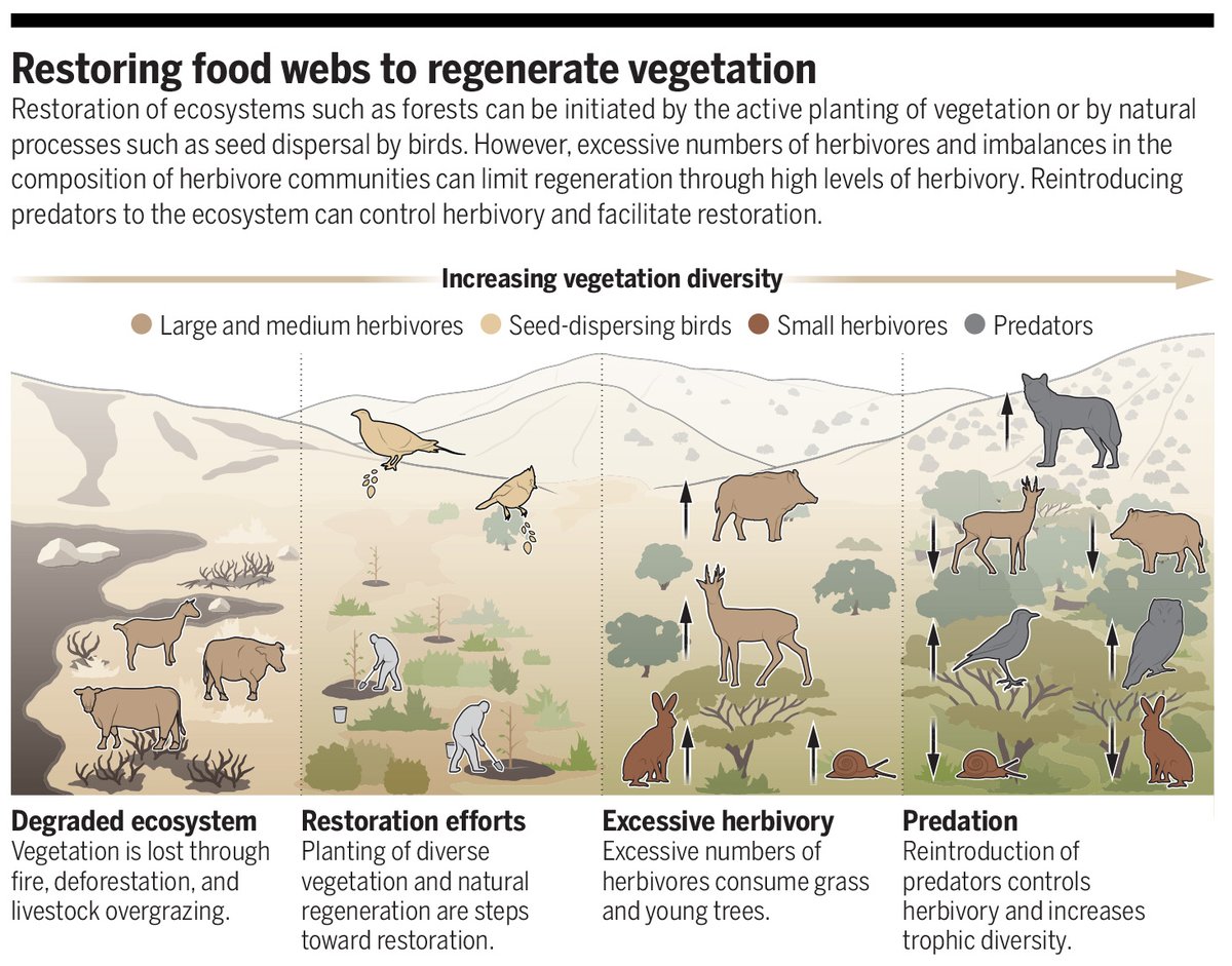 Science Magazine tweet media