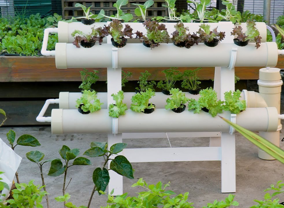 Transforming agriculture with our hydroponic gardens! Discover the climate-friendly revolution in farming practices at EcoFarm Innovations. Embrace sustainable solutions that nurture the planet while yielding incredible produce. #ClimateSmartAgri #EcoFarmInnovations