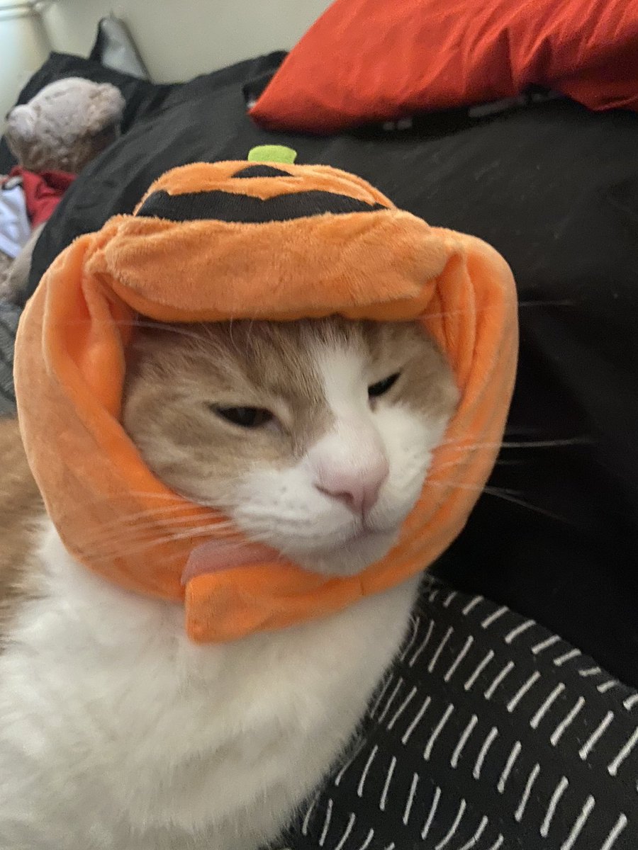 Percy👀 tweet media