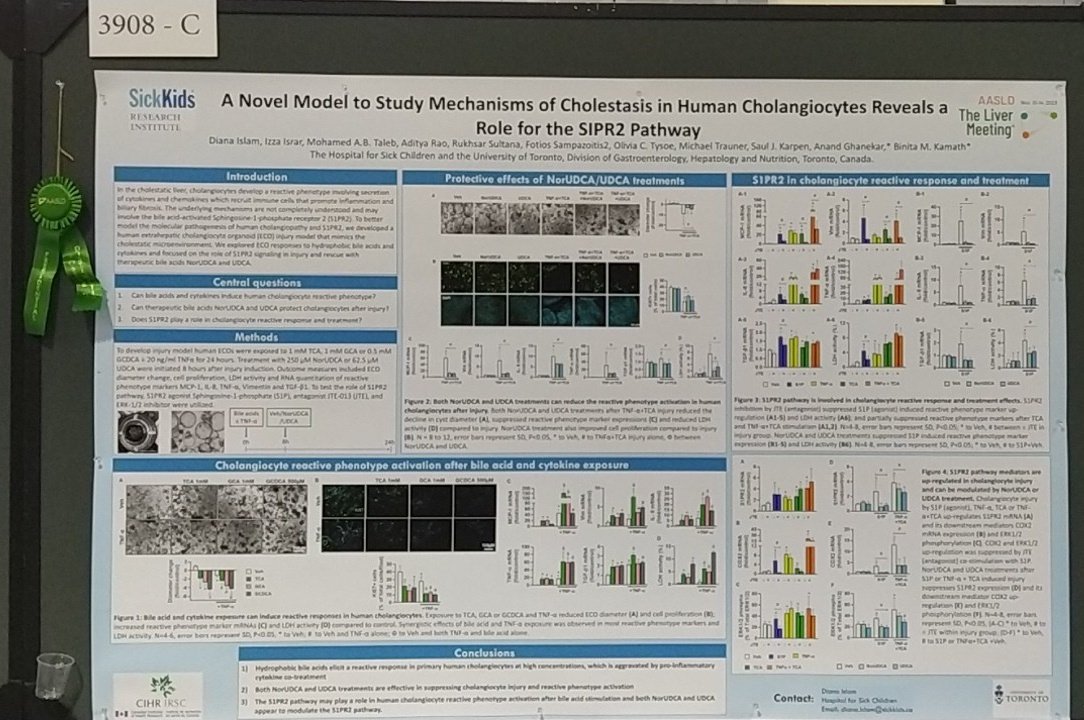 Amazing posters and where to find them: 3908-C - Novel model of cholestasis reveals the role of SIPR2 pathway #TLM23 @AASLDtweets #LiverTwitter