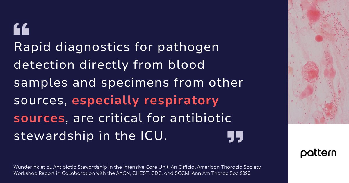 Pattern Bioscience (@patternbio) on Twitter photo There’s currently no diagnosis method for #Pneumonia that is rapid and definitive.
Time is life and death for patients and we believe that a rapid antibiotic susceptibility test for pneumonia will make a real difference in the fight against this deadly disease.#WorldPneumoniaDay There’s currently no diagnosis method for #Pneumonia that is rapid and definitive.
Time is life and death for patients and we believe that a rapid antibiotic susceptibility test for pneumonia will make a real difference in the fight against this deadly disease.#WorldPneumoniaDay