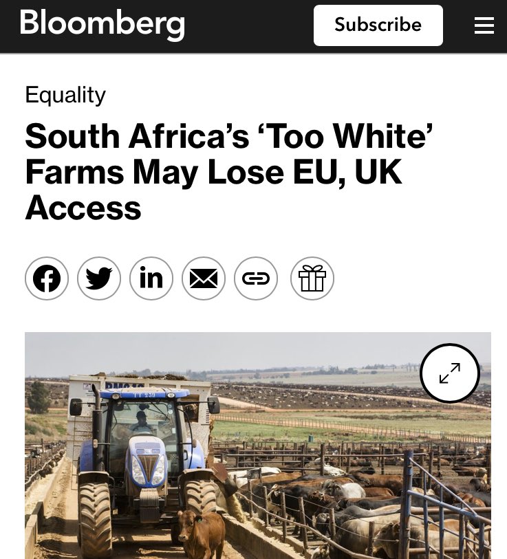 South Africa has turned into an anti-White apartheid state 

A minority group (7% of the population) is being openly targeted by the regime with genocidal rhetoric and oppressive laws

Where is the international outrage? 
Where is the <a href="/UN/">United Nations</a>?