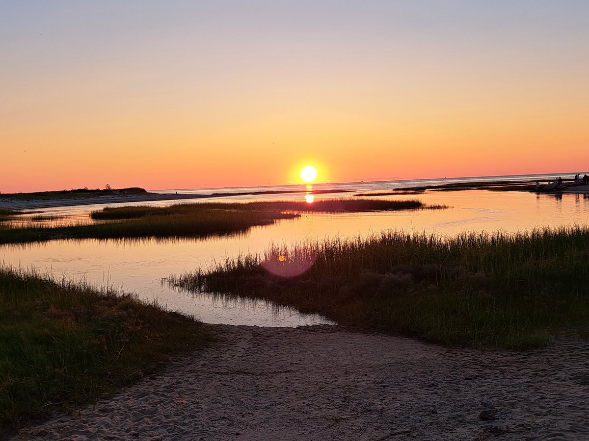 Mary E. Swigonski tweet media