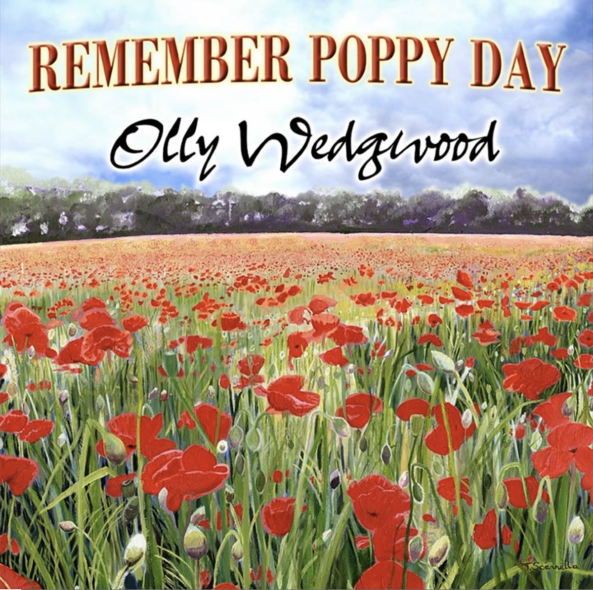 For Remembrance Sunday Remember Poppy Day - by Olly Wedgwood from Addlestone youtu.be/D2GgJ6-kjCY?si… #RemembanceDay #Remembrance #Remembrance2023 #RemembranceDay2023 #RemembranceSunday #Poppies #poppy