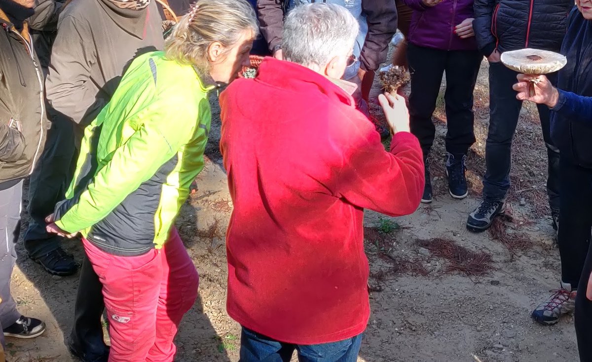 WalkerAnnabel2's tweet photo. Une belle sortie #champignons ce matin à Mouriès avec le Parc naturel régional des #Alpilles et notre excellent mycologue local Pierre Santoire ! 🍄 https://t.co/yS9szyZoGv