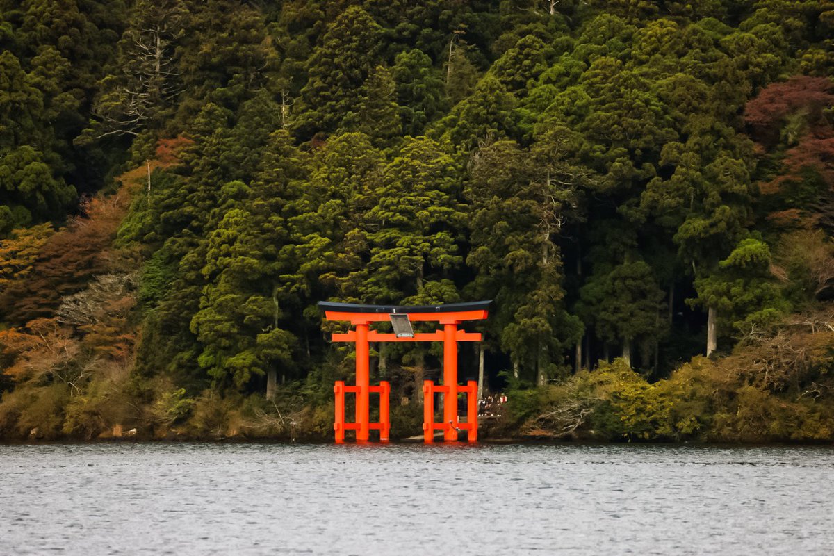 ks3156's tweet photo. 箱根に紅葉見に行ったはずなのに
10Rの写真を撮って終わってしまったw

地元ふらついてる方がいいのかな？w https://t.co/t7kXRsfKIX