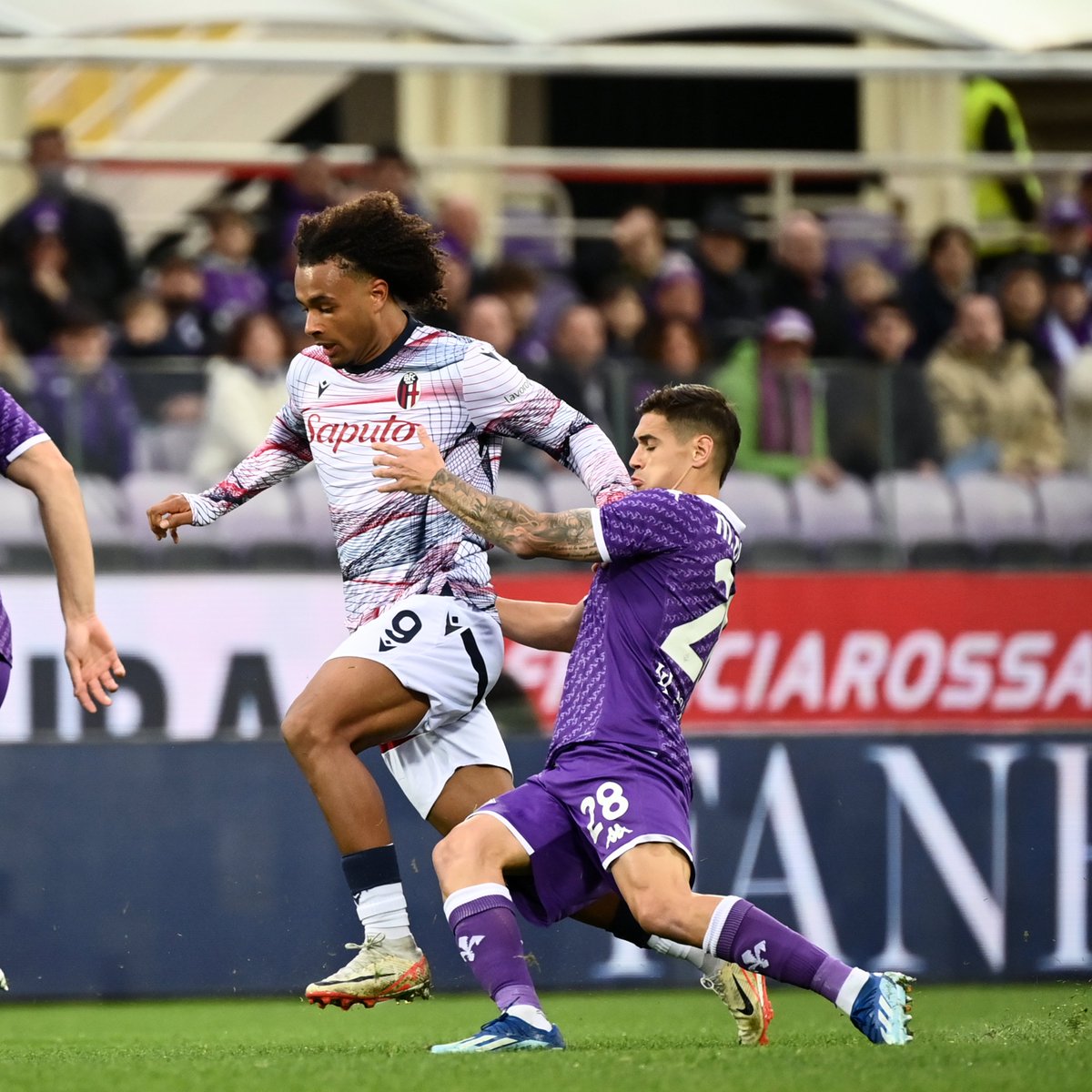 Bologna FC vs Fiorentina Preview 11/09/2022