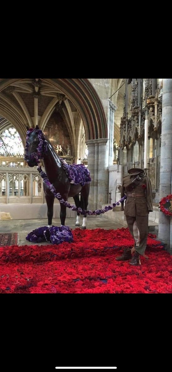 WYPHorses's tweet image. PH Clifton &amp;amp; Seth took part in Leeds remembrance parade today #LestWeForget2023 #RemembanceDay #wyp #wyphorses #leeds #proud