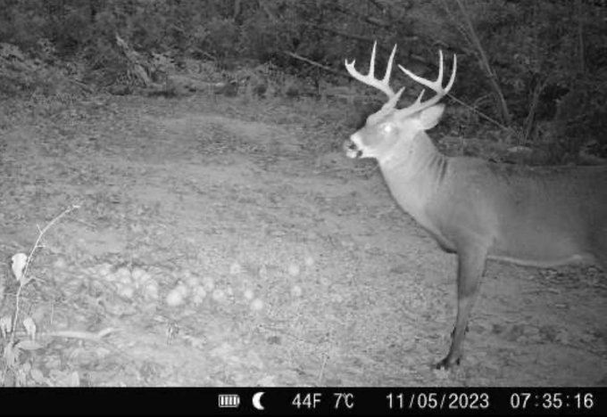 My two boys 🙃 https://t.co/nLNuhIX9aG