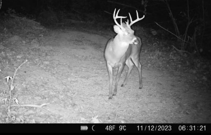 My two boys 🙃 https://t.co/nLNuhIX9aG