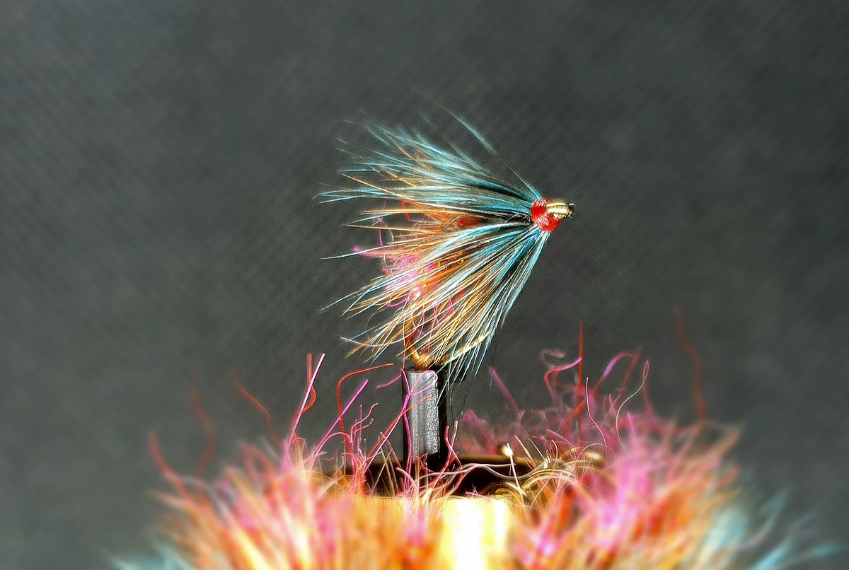 GayleMarsh14's tweet photo. Probably one of my favourite flies for pulling through a wave for wild brown trout. It's my take on an "Ajax Special". I'll be tying it at the Irish Fly Fair next weekend.
#machlud
#flytying 
#sharingflieswithastranger https://t.co/OzQFAhCUsT
