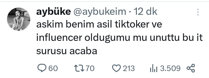 Sensin o it ve sürüsüde fanların