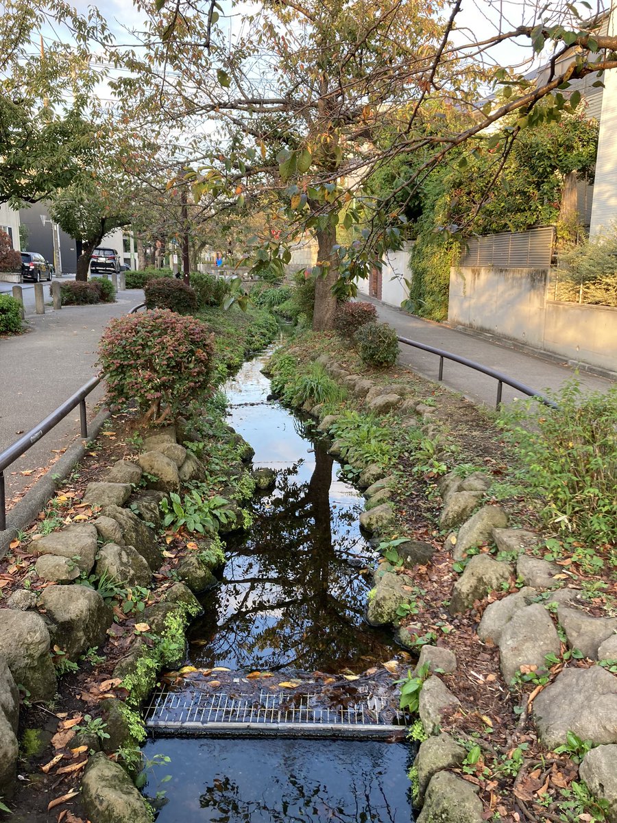 ok_ritchy's tweet photo. かつて住んでた倒れ荘は、
もう随分前に取り壊された😌
遊歩道は更に整備されてる😌
夜桜が綺麗だったなぁ🙂
世田谷代田駅は地下へ🙂 https://t.co/ruIDLRzprQ