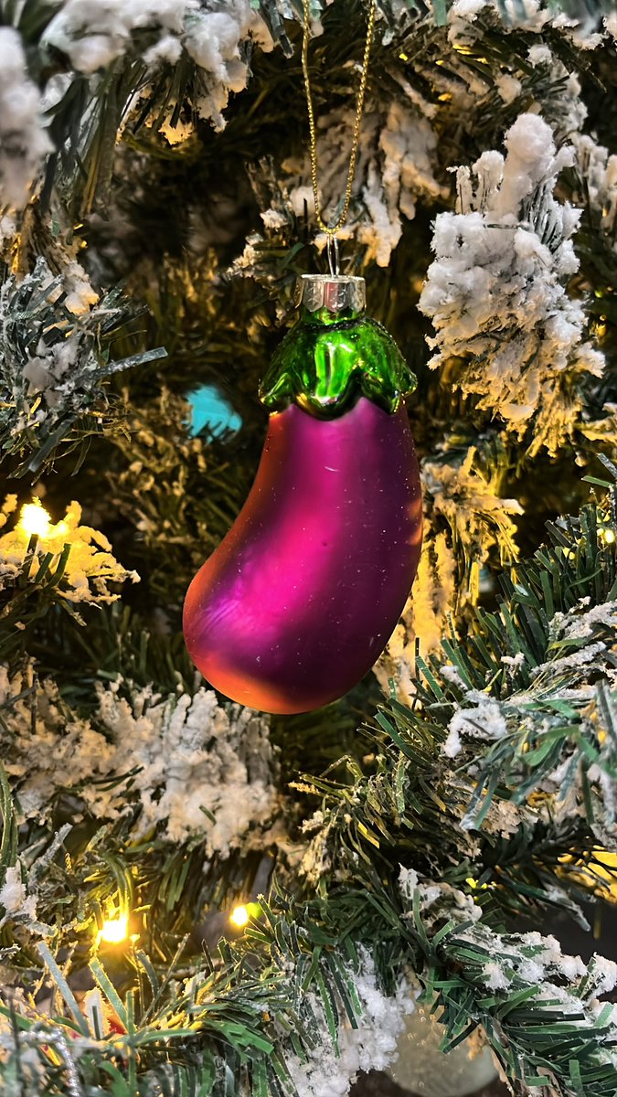 It’s not Christmas without my festive aubergine. 

And yes, my tree is up. 

You’re not my real dad.