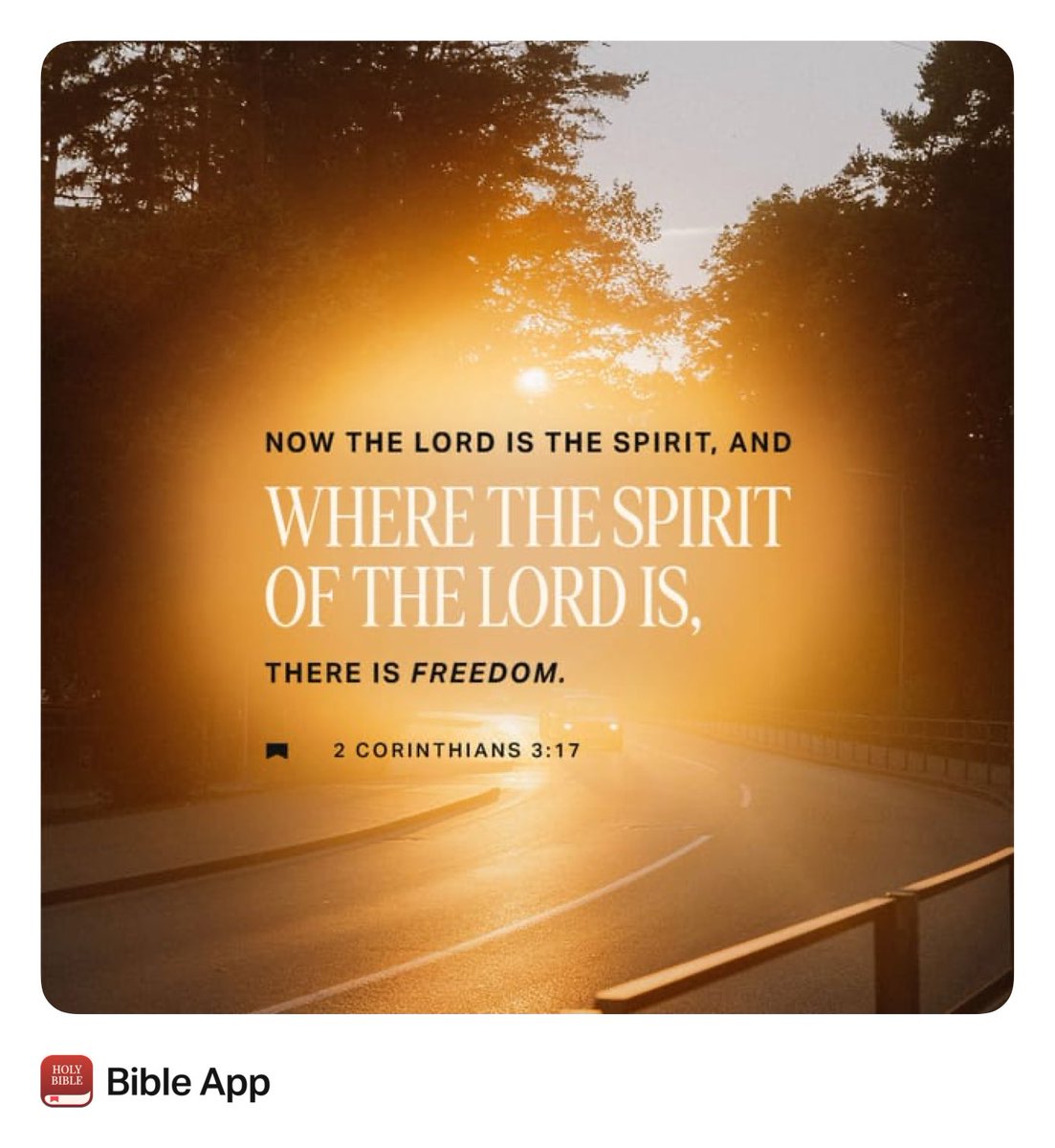 Dennis Green tweet media