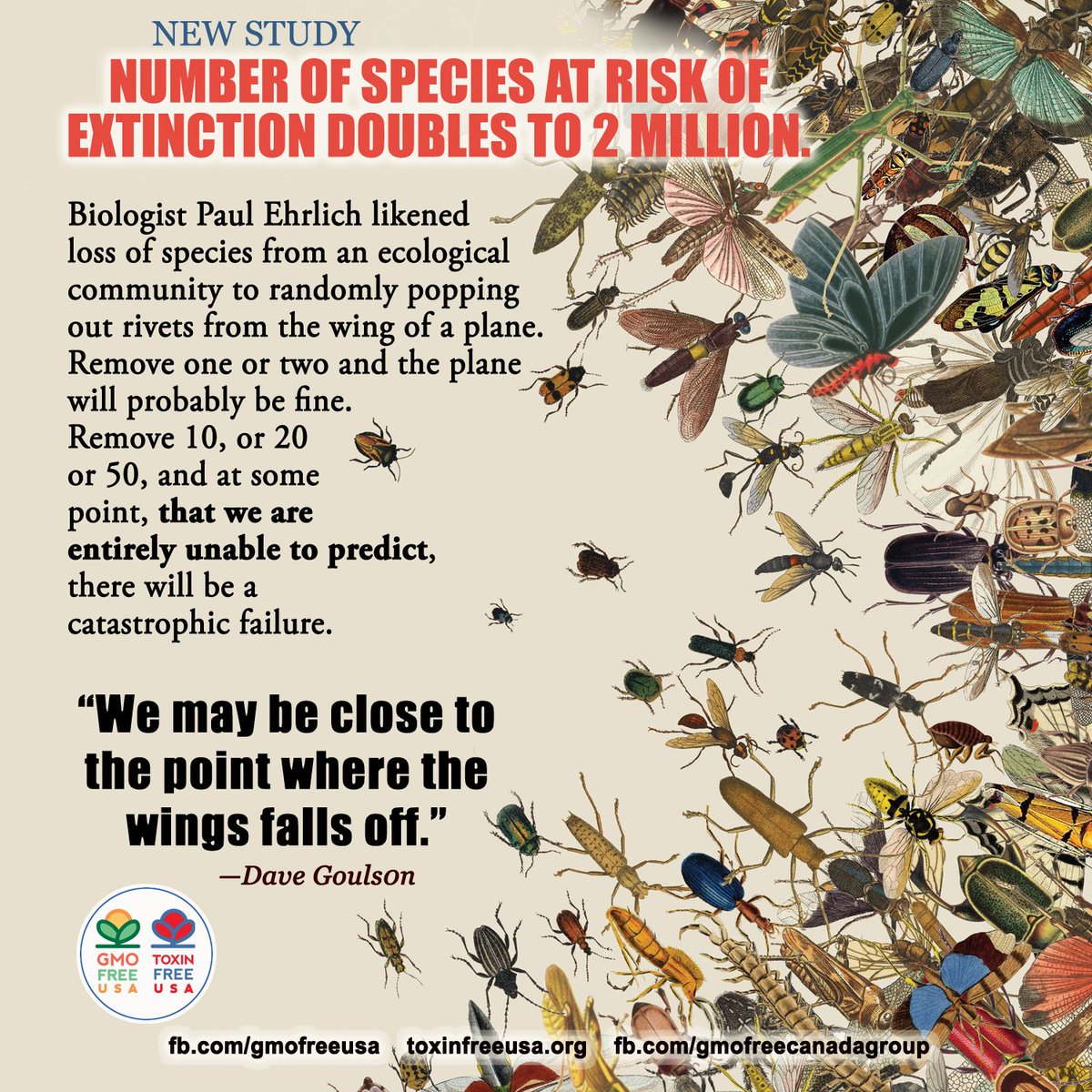 GMOFreeUSA's tweet photo. A global biodiversity crisis is at hand. 2 million plant and animal species are threatened with extinction. https://t.co/TkR3rFDN7k https://t.co/vACZ0Tnyfl