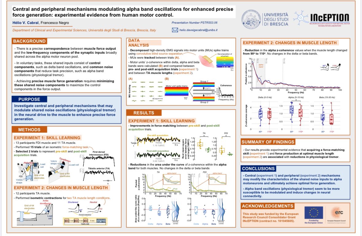 helio_cabral's tweet image. Looking forward to presenting at #SfN23 some of my postdoc work at @INcEPTION_unibs @unibs_official, describing alpha band modulations in the shared synaptic inputs to alpha motor neurons.
🔎 Check out our poster at board JJ5 on Wednesday afternoon! #motorunit #neuralcontrol