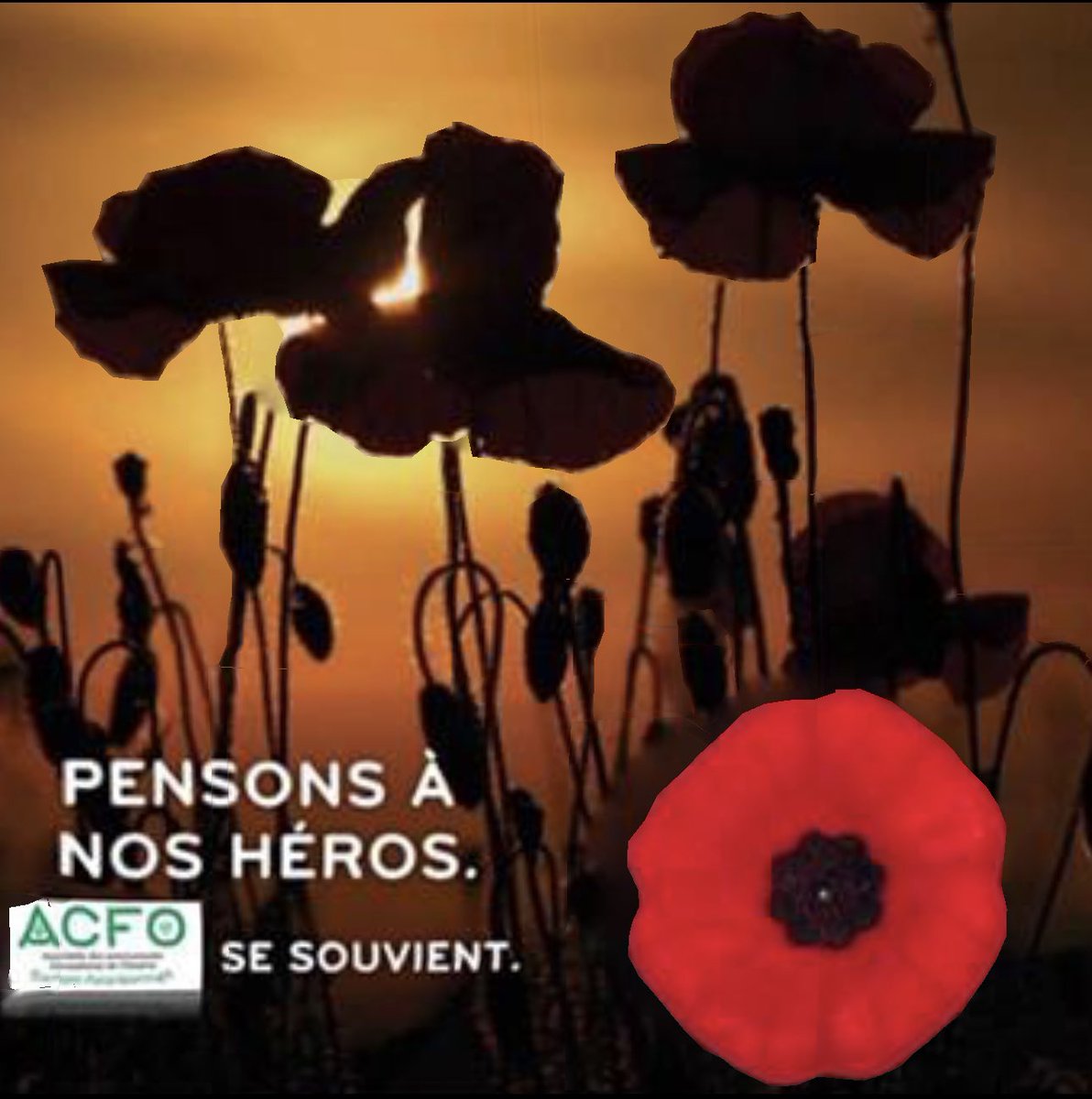 AcfoDp's tweet photo. Le 11 novembre c’est le jour du Souvenir qui est l’occasion de démontrer notre respect et notre gratitude aux membres actifs et anciens membres de nos forces armées, qui ont sacrifié leur vie pour sauver notre pays. L’ACFO-DP se souvient. https://t.co/gsLlHEz2V1