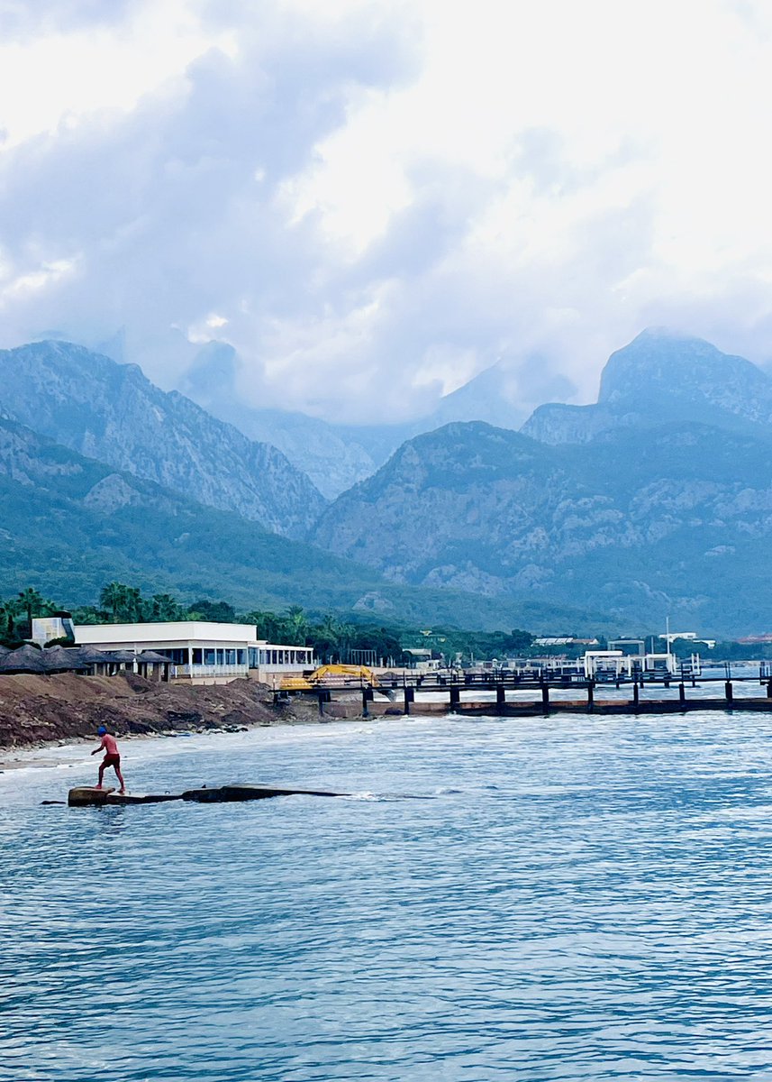 Meryem Beklioglu tweet media