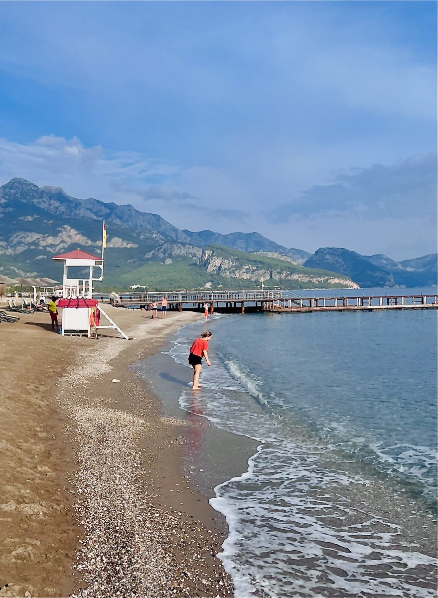 Meryem Beklioglu tweet media