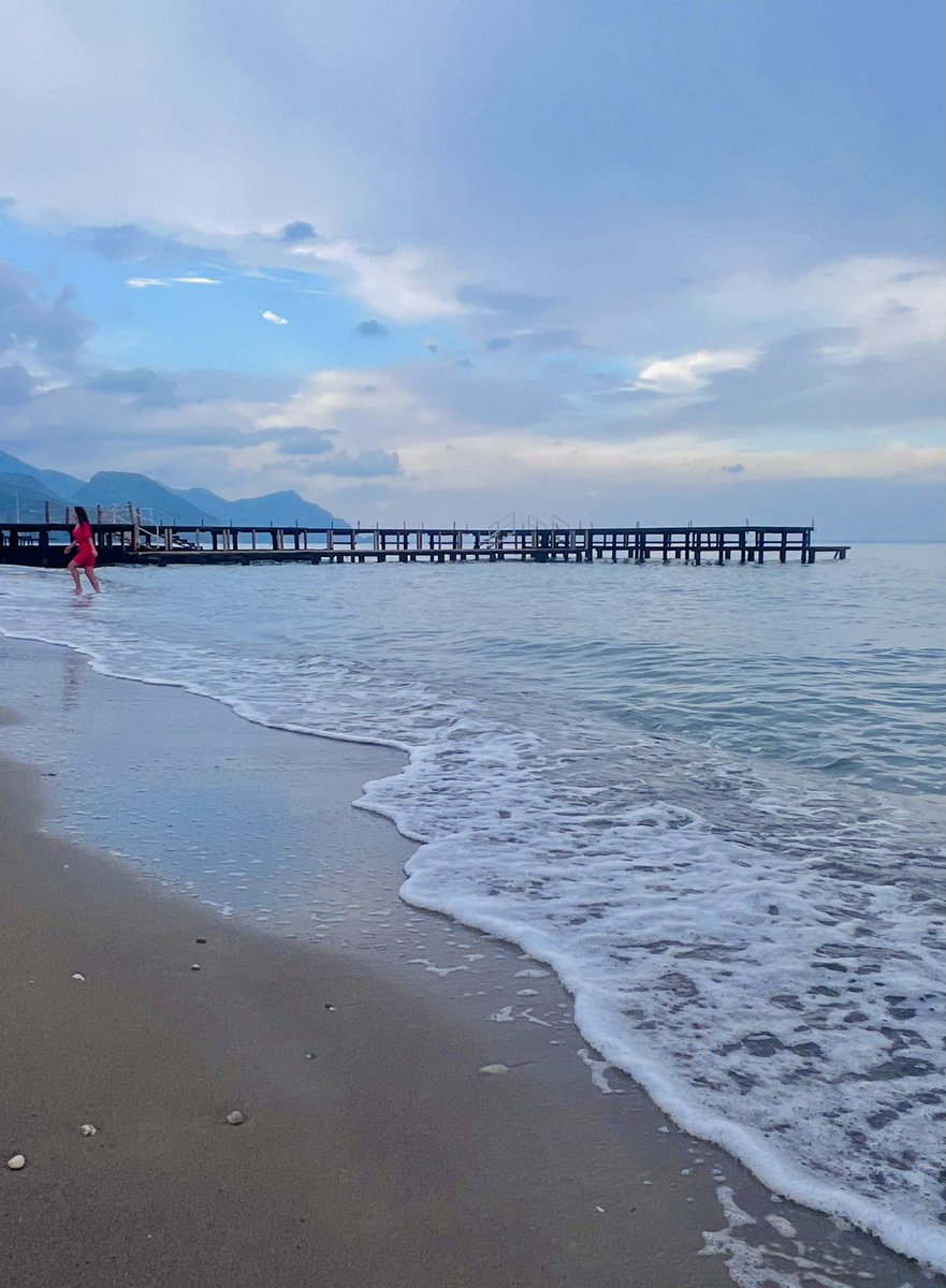 Meryem Beklioglu tweet media