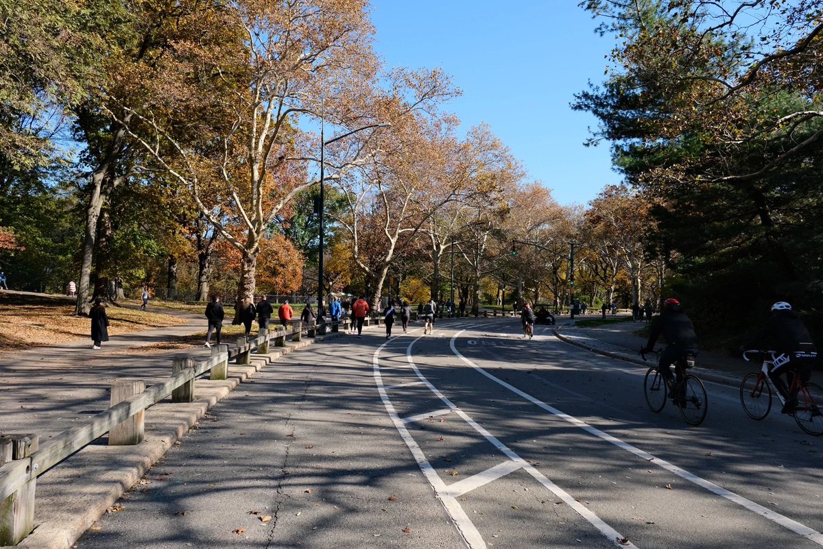 arrapot18's tweet image. Put on some nice fall/winter clothes and walk aimlessly through the huge Central Park, listening to the leaves crunch under your feet. Find a bench to sit on and the sun warming your body makes you so cozy that you don't want to leave #Central Park #United States of America