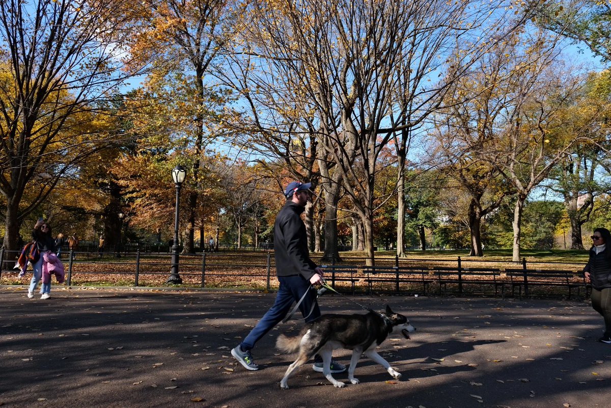 arrapot18's tweet image. Put on some nice fall/winter clothes and walk aimlessly through the huge Central Park, listening to the leaves crunch under your feet. Find a bench to sit on and the sun warming your body makes you so cozy that you don't want to leave #Central Park #United States of America