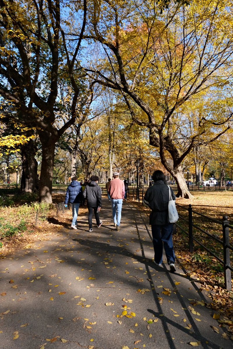 arrapot18's tweet image. Put on some nice fall/winter clothes and walk aimlessly through the huge Central Park, listening to the leaves crunch under your feet. Find a bench to sit on and the sun warming your body makes you so cozy that you don't want to leave #Central Park #United States of America