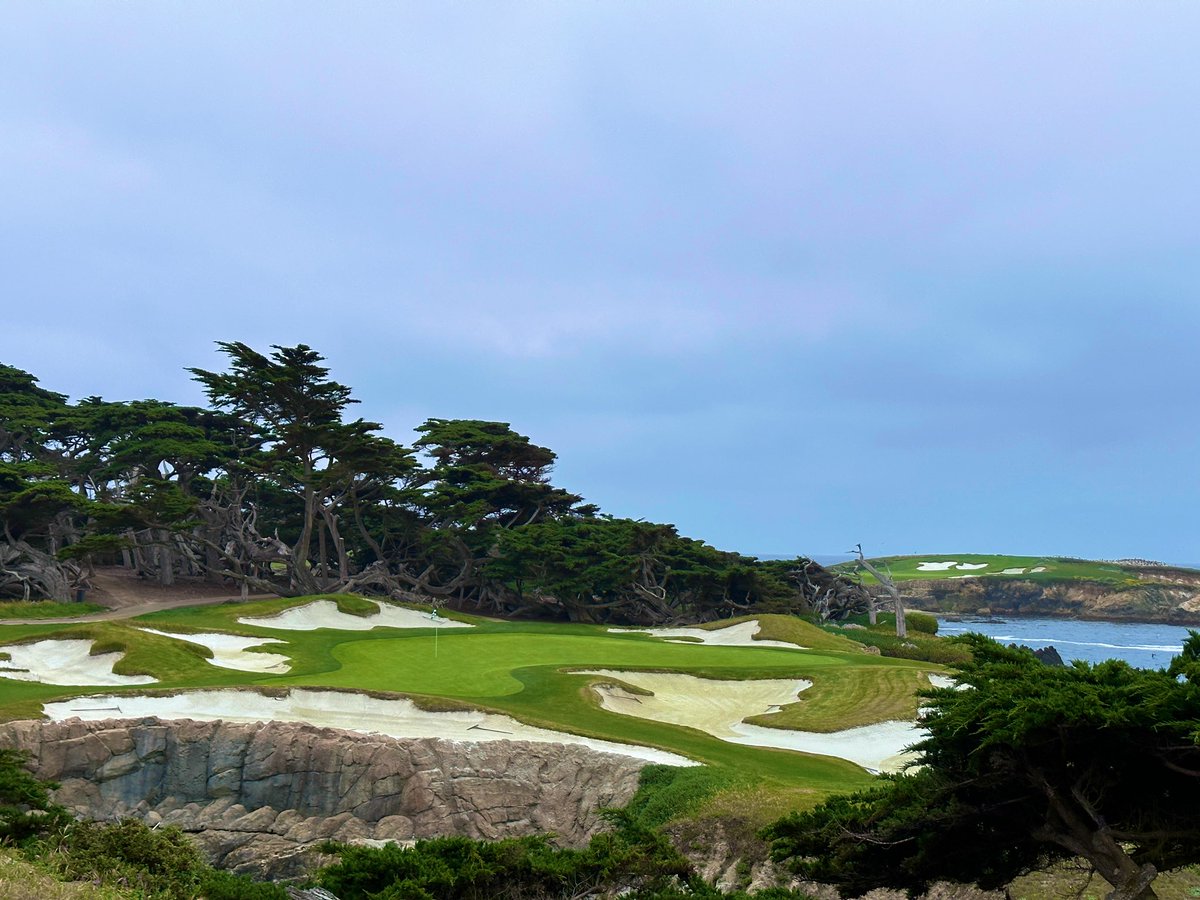 Rick Golfs tweet media