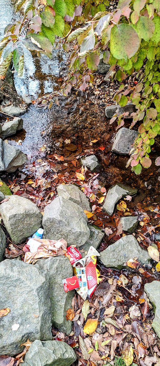 Beautiful McLean Virginia tweet media