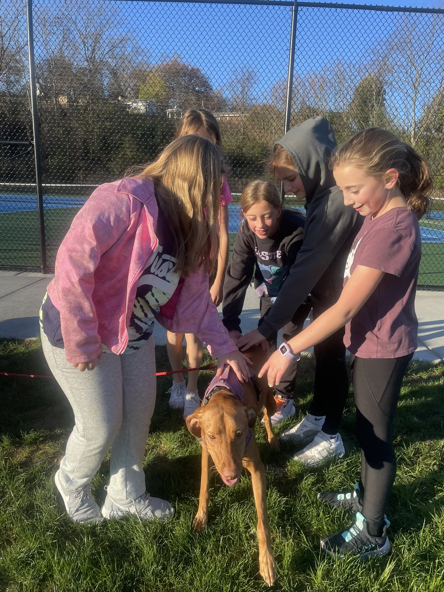 artwithms_k's tweet image. Mrs. Smith’s super sweet pup came to practice to help motivate our girls!! Shes our fastest and furriest coach, by far🐶#girlsontherun #gotr #5ktraining @west_elem