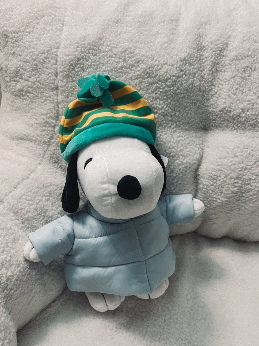 ayesia_'s tweet photo. we have secured puffer snoopy 🩵 https://t.co/RSa05ziJtP