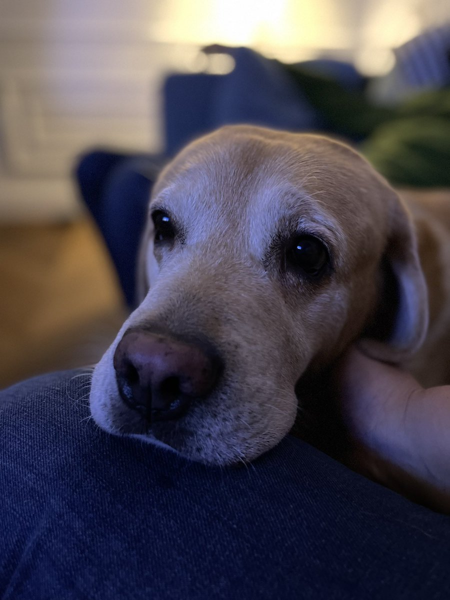 Facce da weekend in cui si arriva ormai sfatti e con la sola voglia di stare abbracciati sul divano. 
#iotueteo