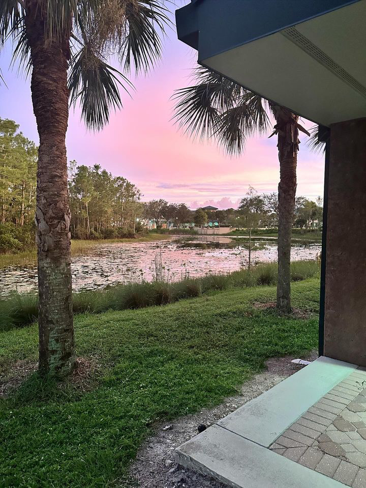 fgcu's tweet photo. I could look at these all day 😍 #FGCU #wingsup #campuslife #campusnature #prettycampus #fgcusunset #sunset https://t.co/S3I1C1KKoR