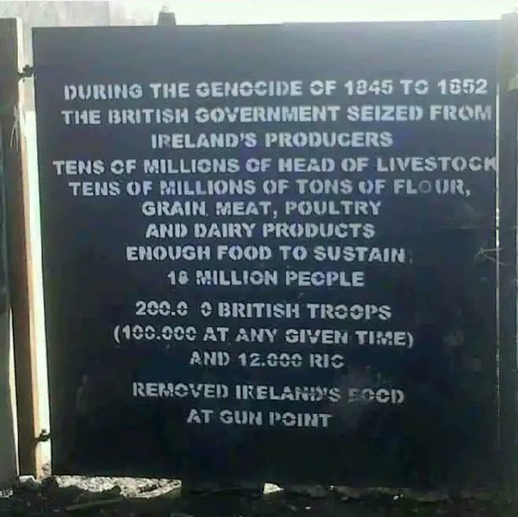 why the irish support palestine