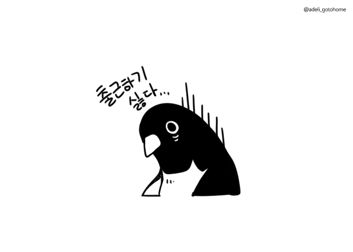 adeli_gotohome's tweet photo. https://t.co/b0H29tbgZy