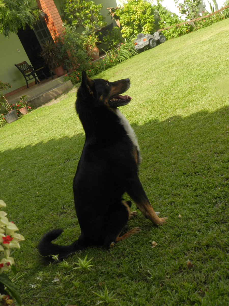 La hija del sol ⭐⭐⭐ tweet media