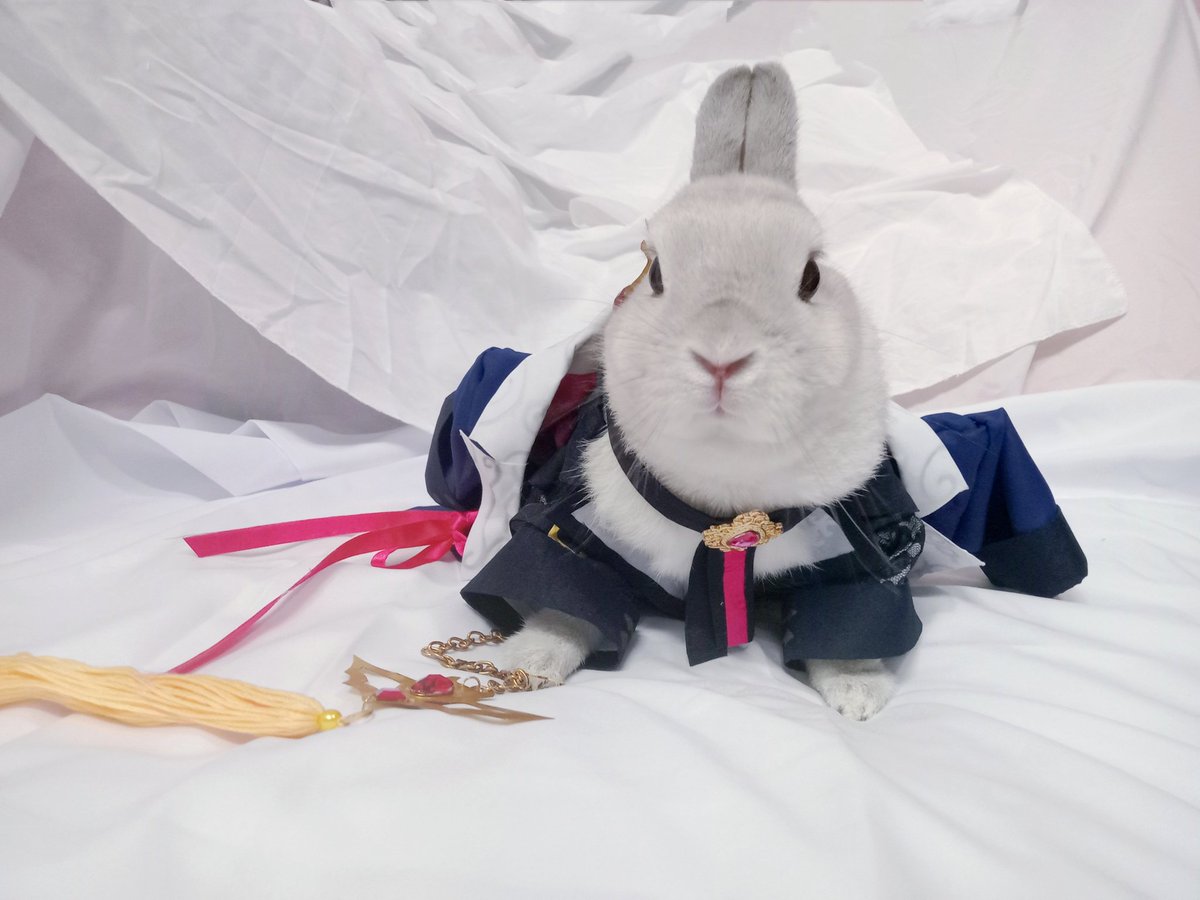 蘭萌皇🐰バイラン皇帝 tweet media