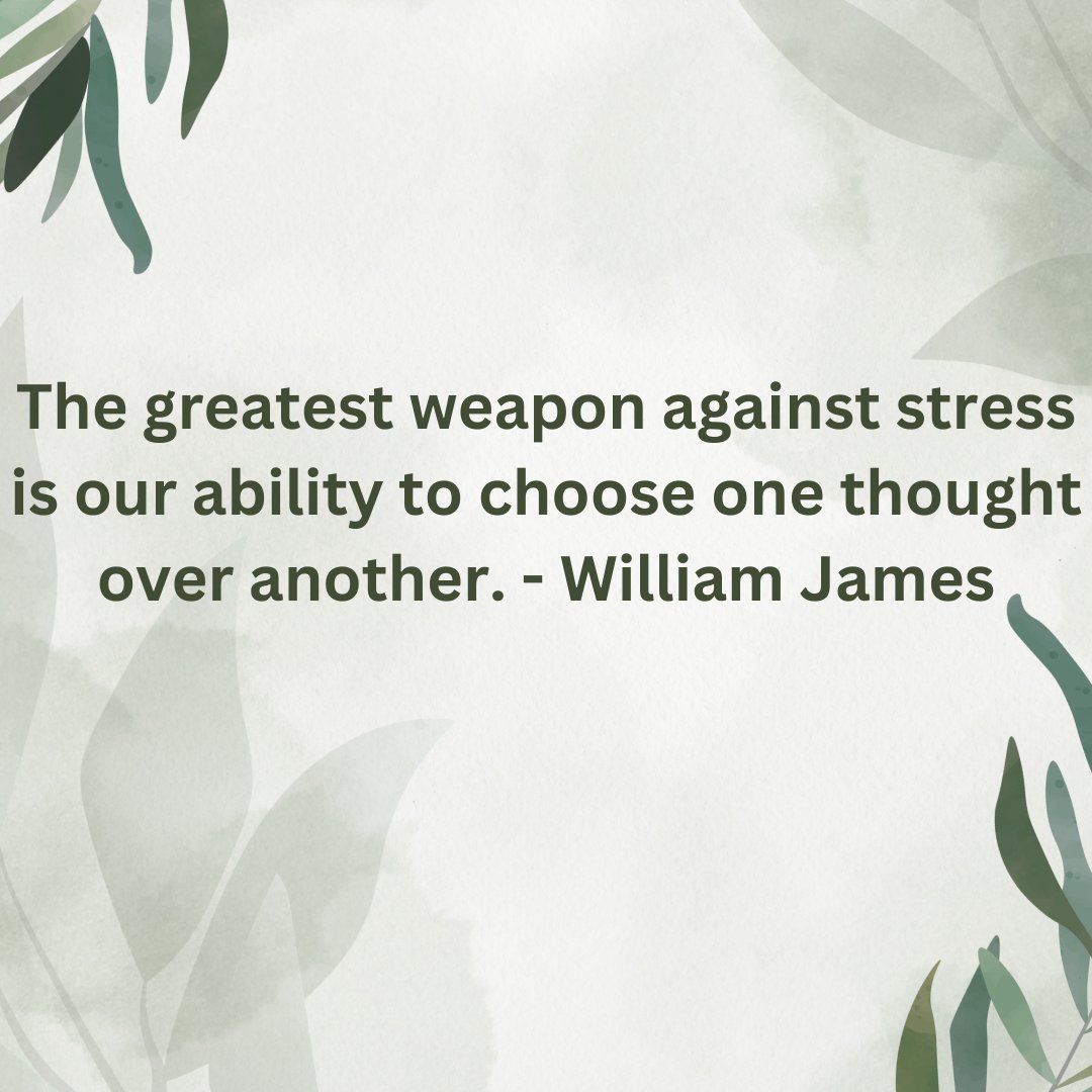 MentalThe224's tweet photo. We become what we think, embrace positive thinking, and transform your day! #Mindfulness #StressRelief #mentalhealth  #PositiveThinking #quotes #InspirationalQuotes #Motivation #sundayvibes #SundayMorning https://t.co/VHAWiVCNvo